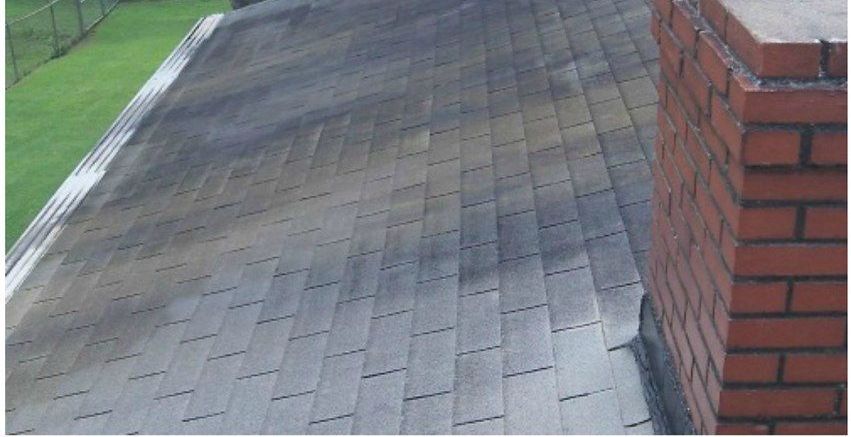 Before, an asphalt shingle roof covered in black algae streaks