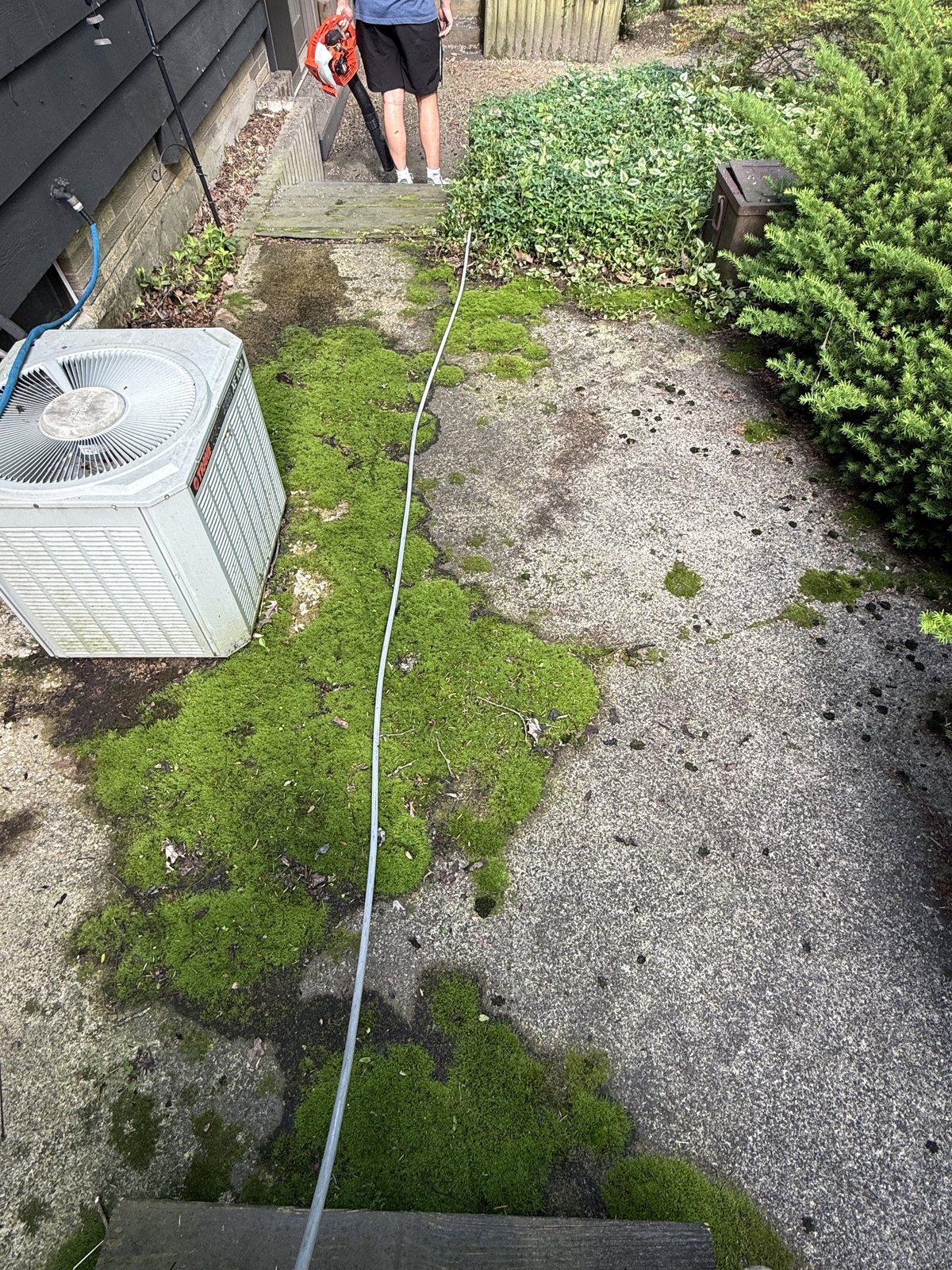 Moss and staining washed off concrete by Core Exterior Services, Northeast Ohio
